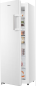Preview: Hisense FV 298 N 4 A WC offen