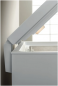 Preview: Bauknecht GT 400 A2+ Gefriertruhe Preview: Bauknecht GT 400 A2+ Gefriertruhe